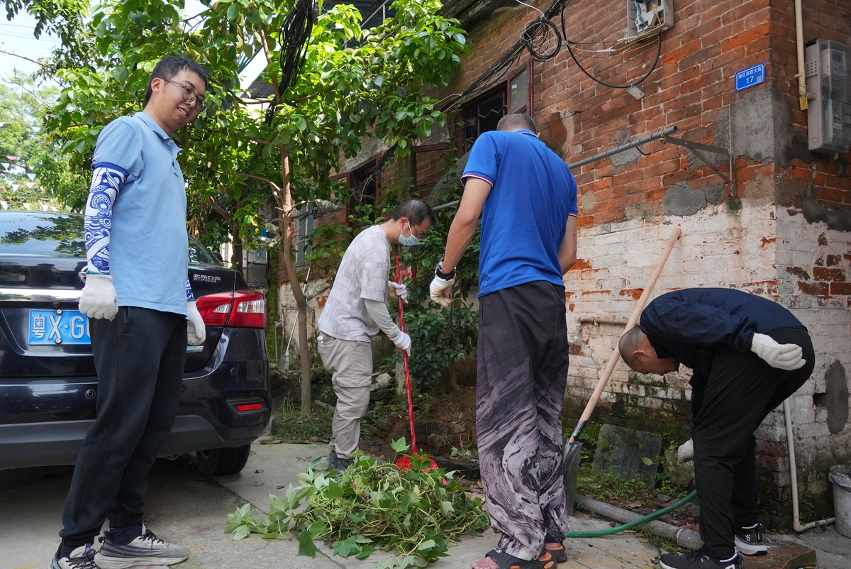乡村街道清扫：环境改善、健康保障、习惯养成和社区凝聚力的收获