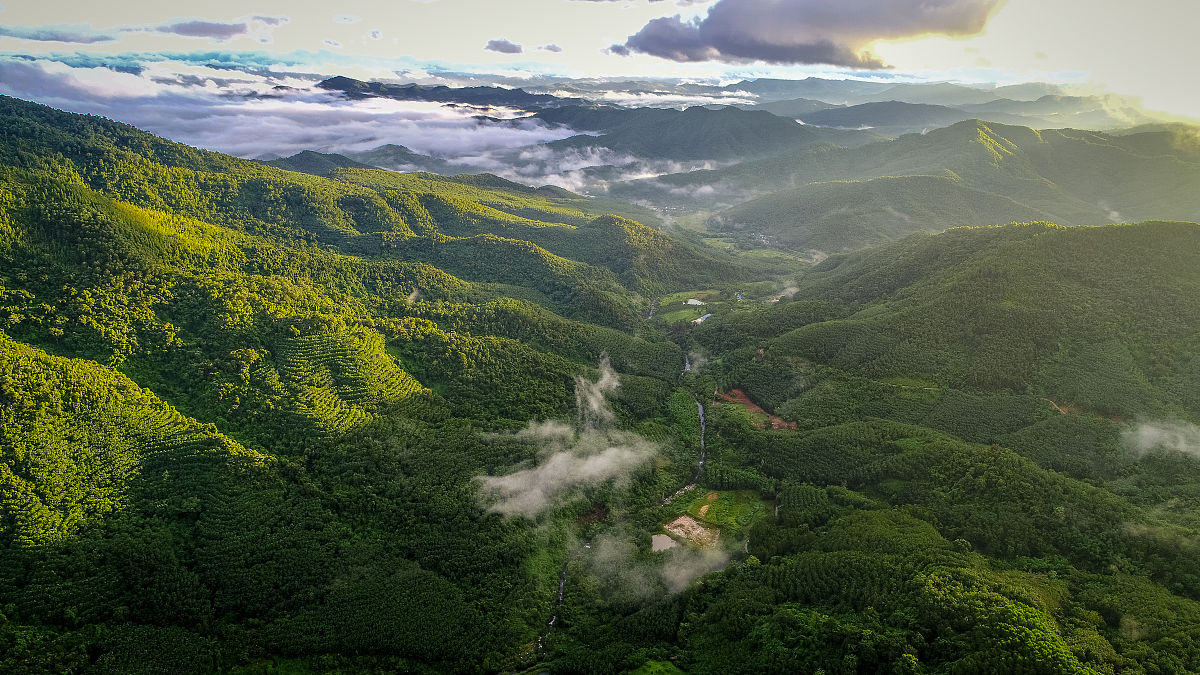 Forest Ecosystems期刊的研究范围