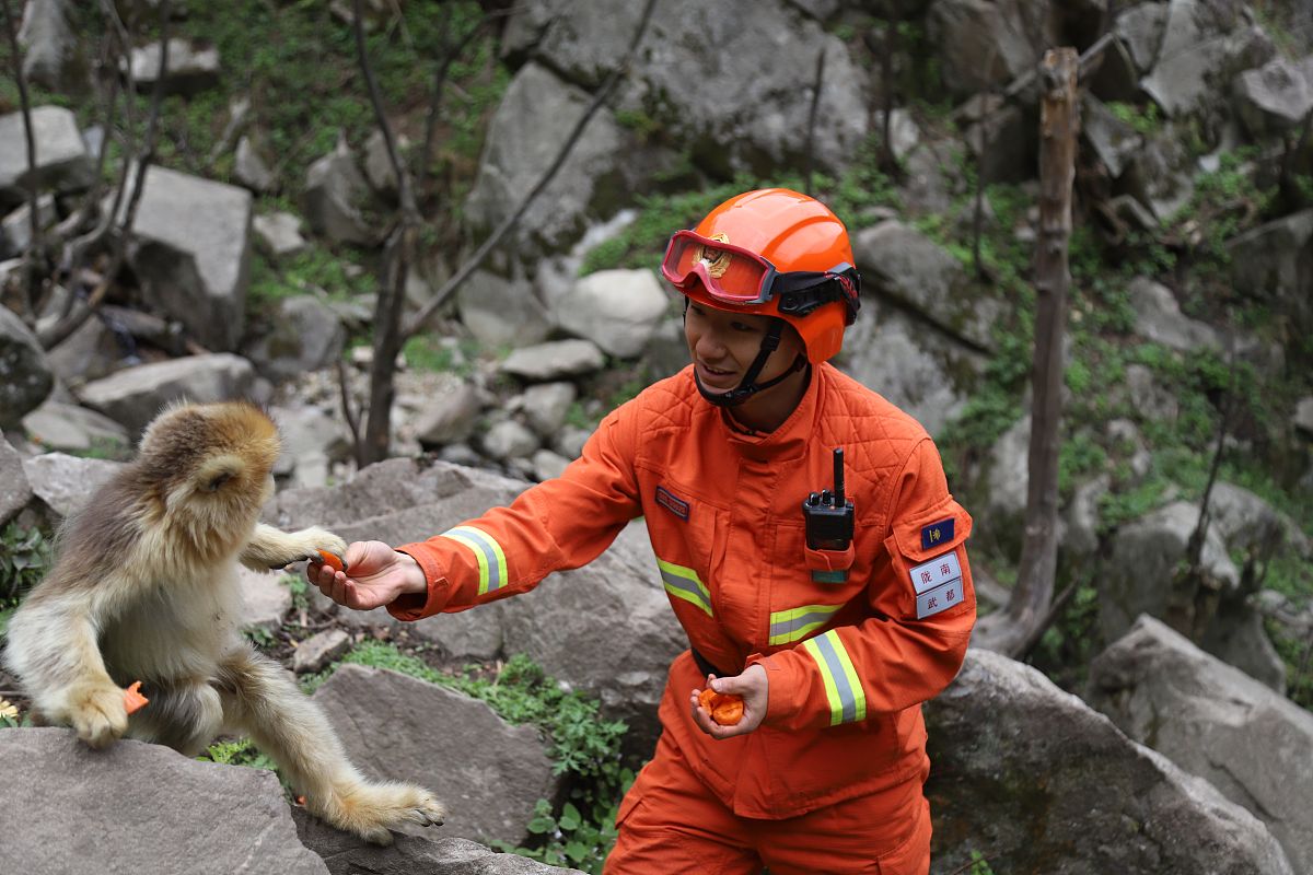 陇南农业学校外貌企业管理专业怎么样