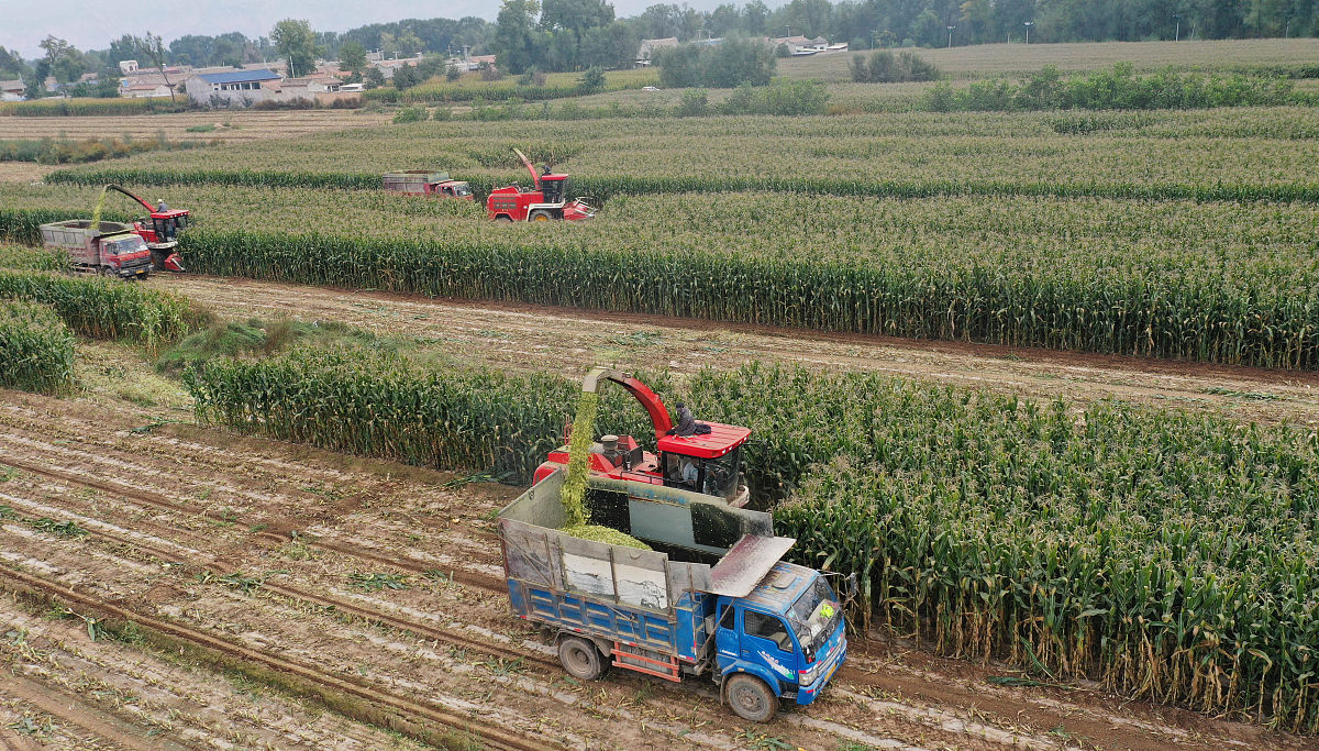 泸西县农业机械化技术学校：值得选择的农业机械人才培养基地