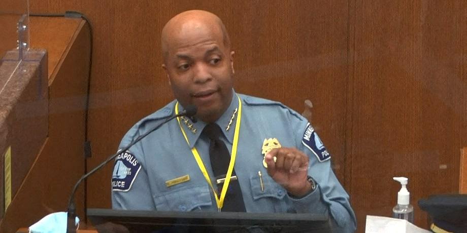 人性解析：人类特征、行为与思维方式的探索