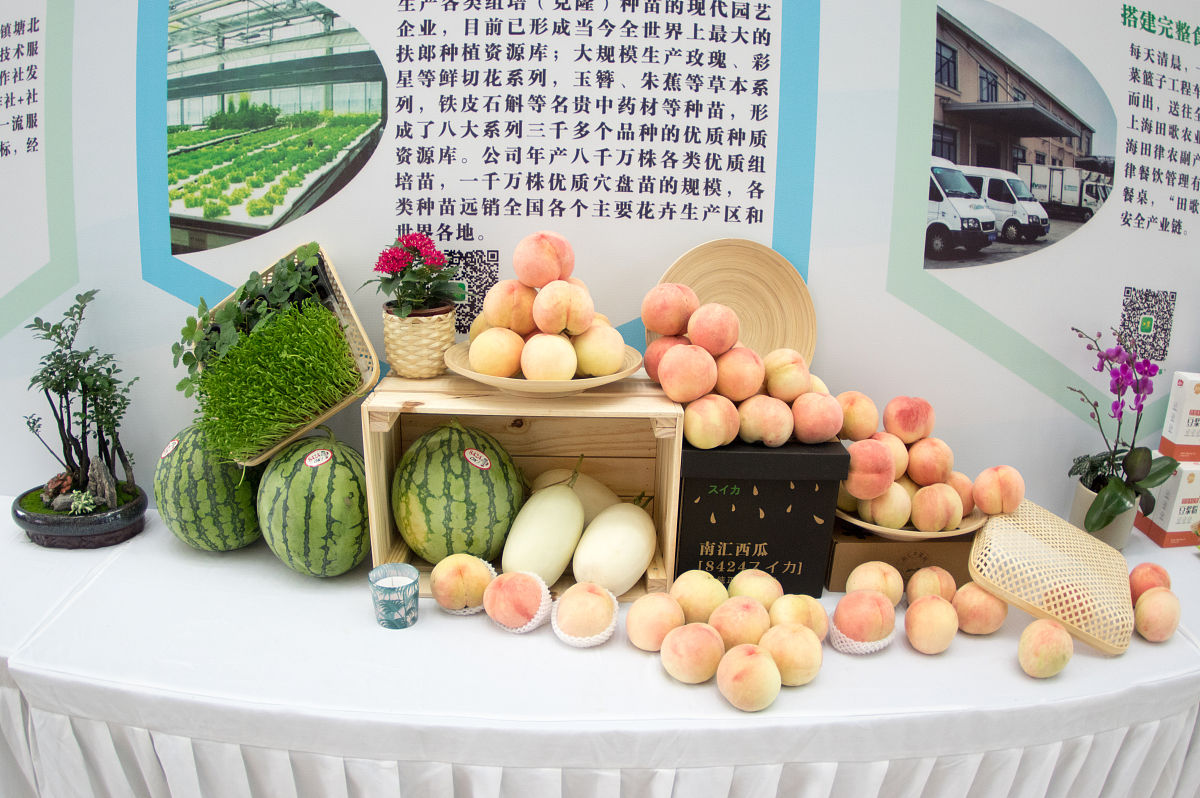 融媒体中心换届文案