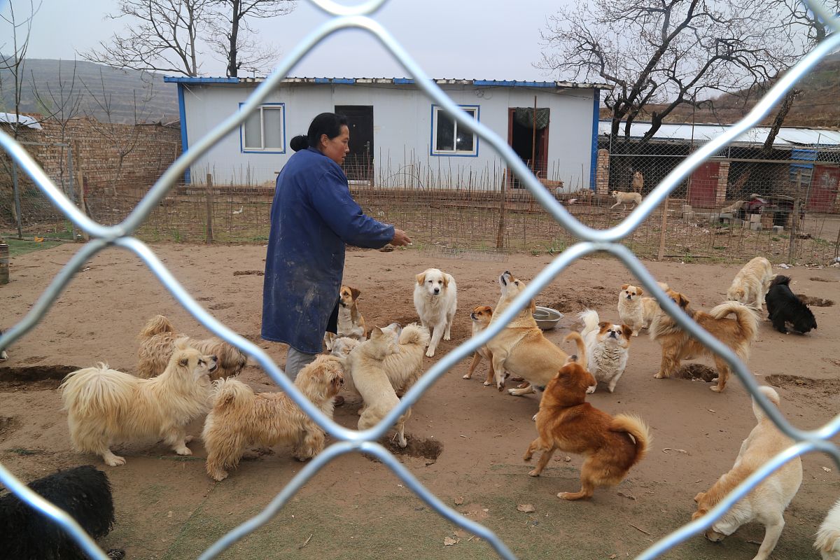 庭院养殖创业致富：政策扶持与发展建议
