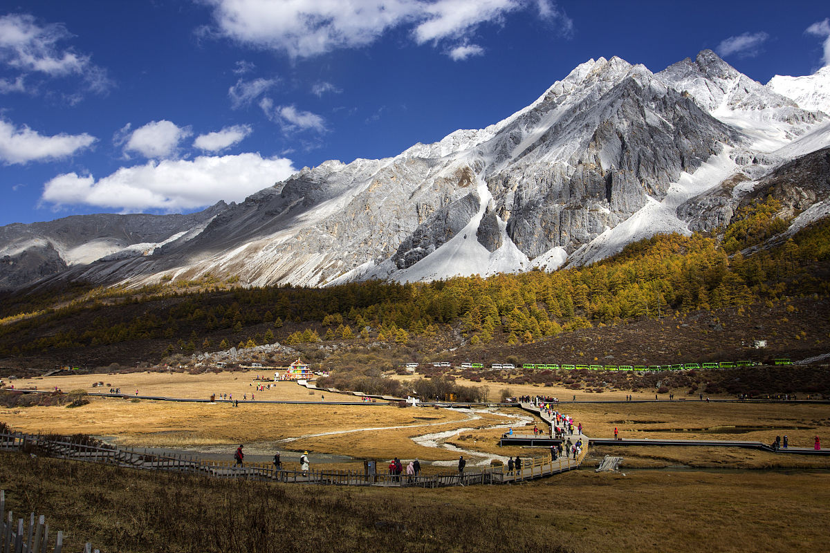 阜南农林科技学校2023年专业设置：农业、林业、生态环境保护