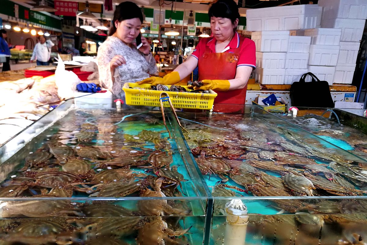 海鮮商店：新鮮美味，線上選購！