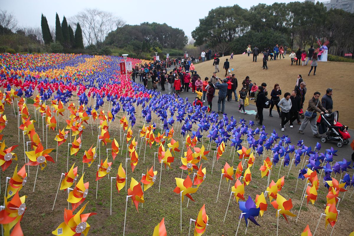 2015年3月15日,上海,为了配合郁金香花展,主办方在公园里一个小山坡上