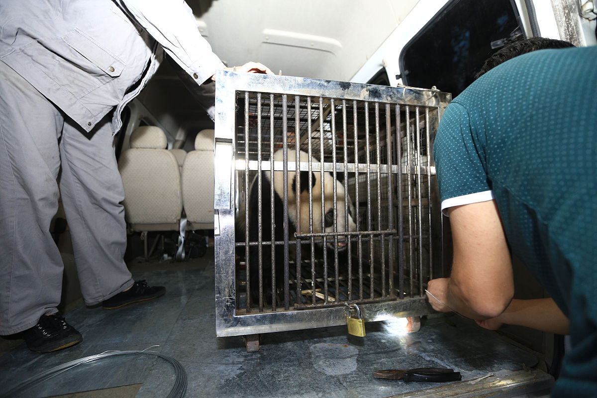 成都航空职业技术学院2020年单招情况