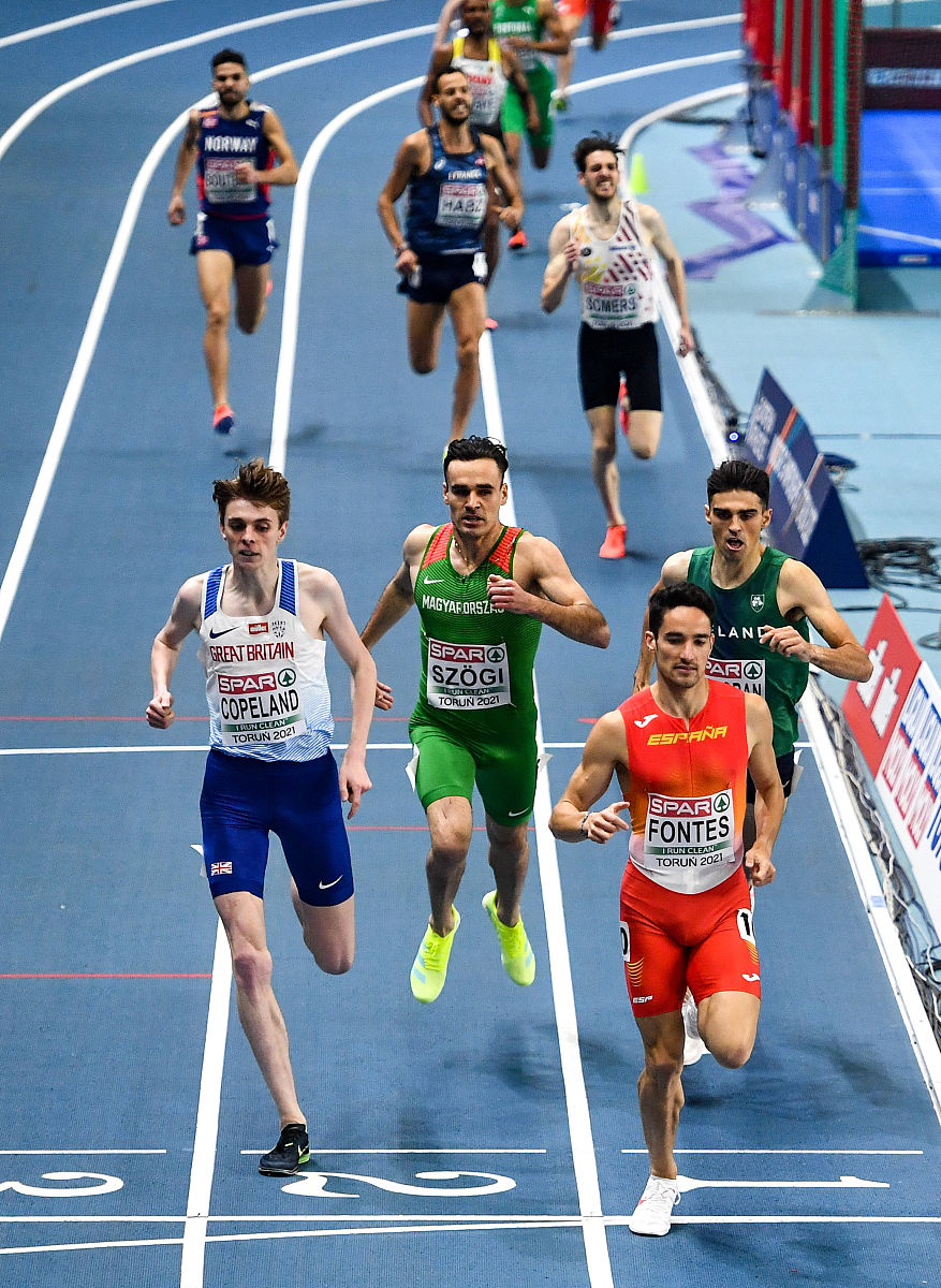 Barnesiella 和 CRC 关系研究：文献综述与 DOI 号