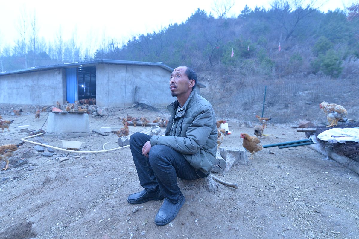 数字主播网名大全：创意十足，吸睛满满！