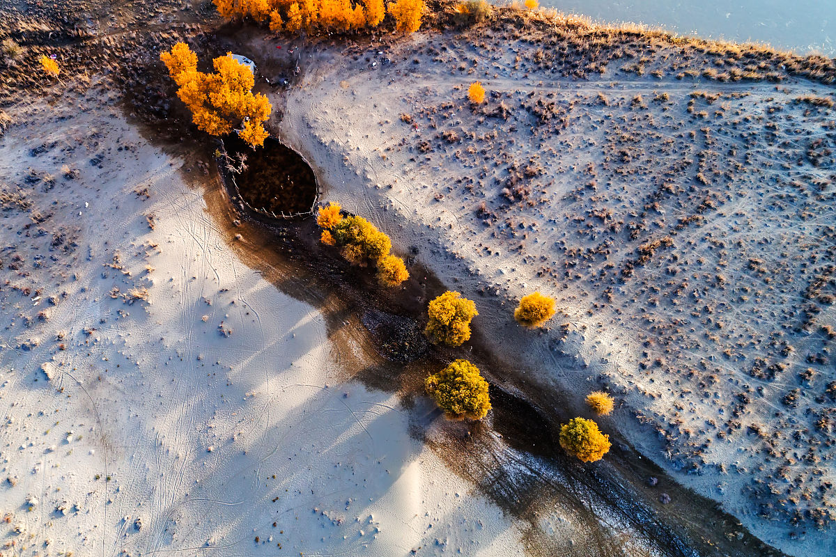 塔里木河流域陆地水储量变化的影响因素分析
