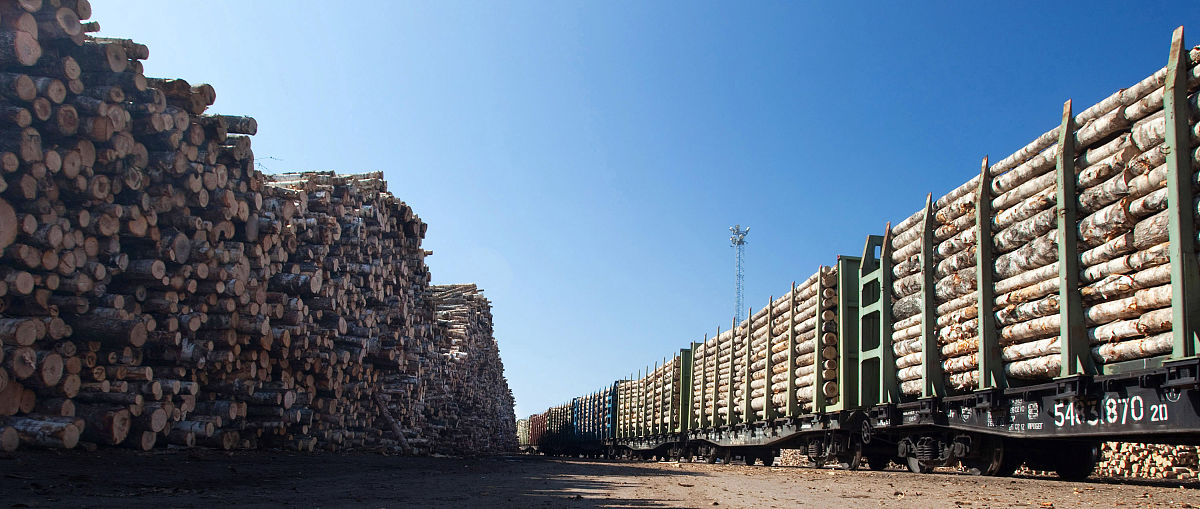 芬兰第一企业：Stora Enso - 历史悠久，可持续发展领先者