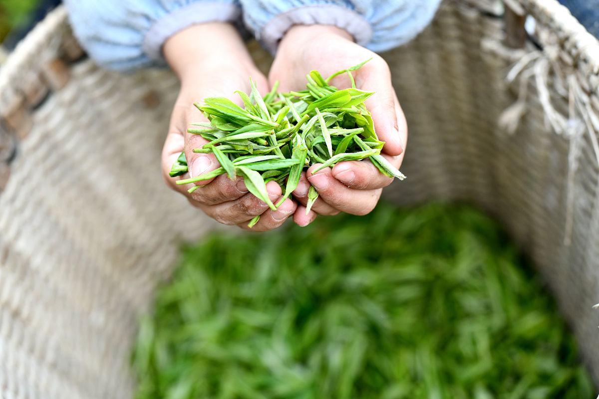 贵州经贸职业技术学院专业设置及城市轨道交通运营管理专业介绍