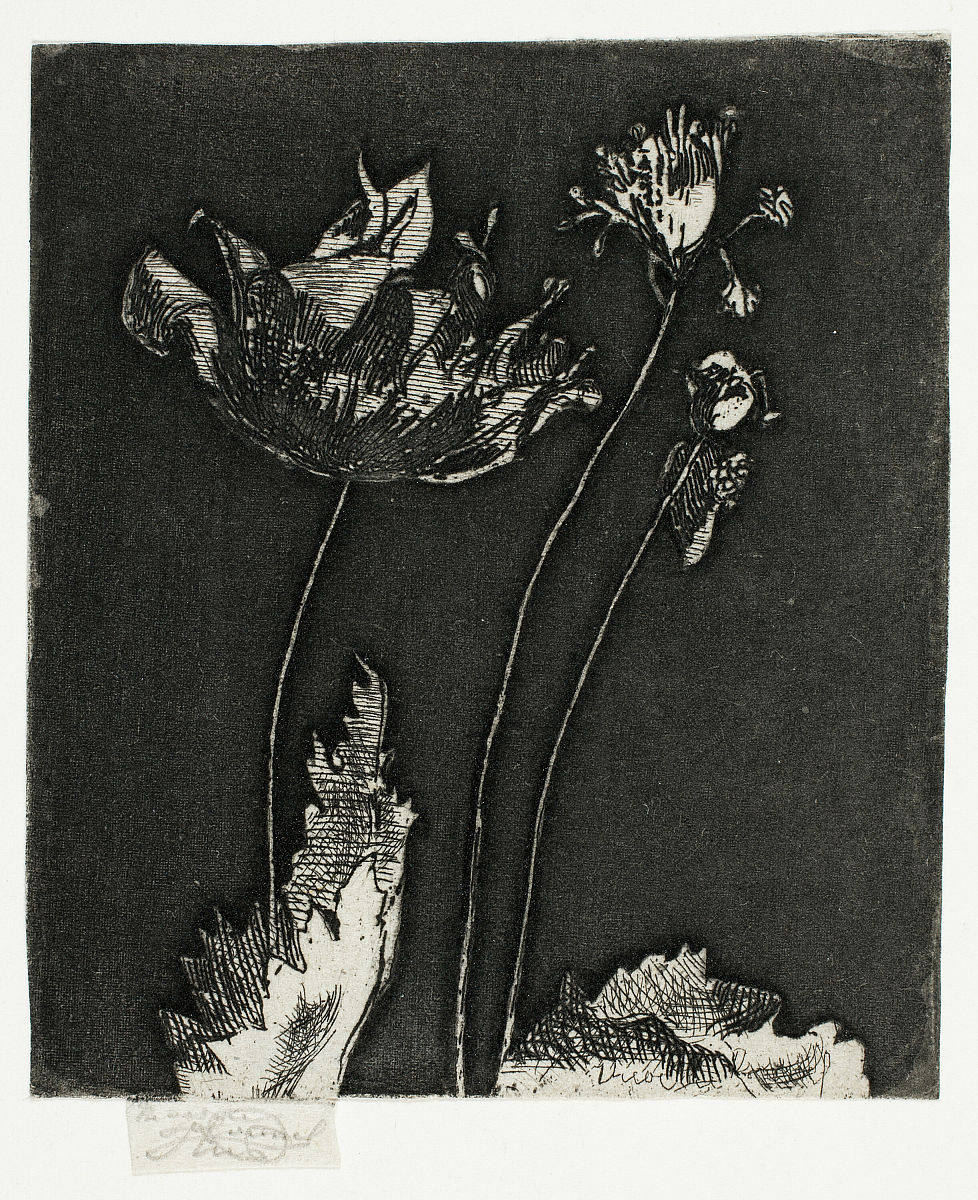 last poppies, 1897. artist theodore roussel. (photo by heritage 