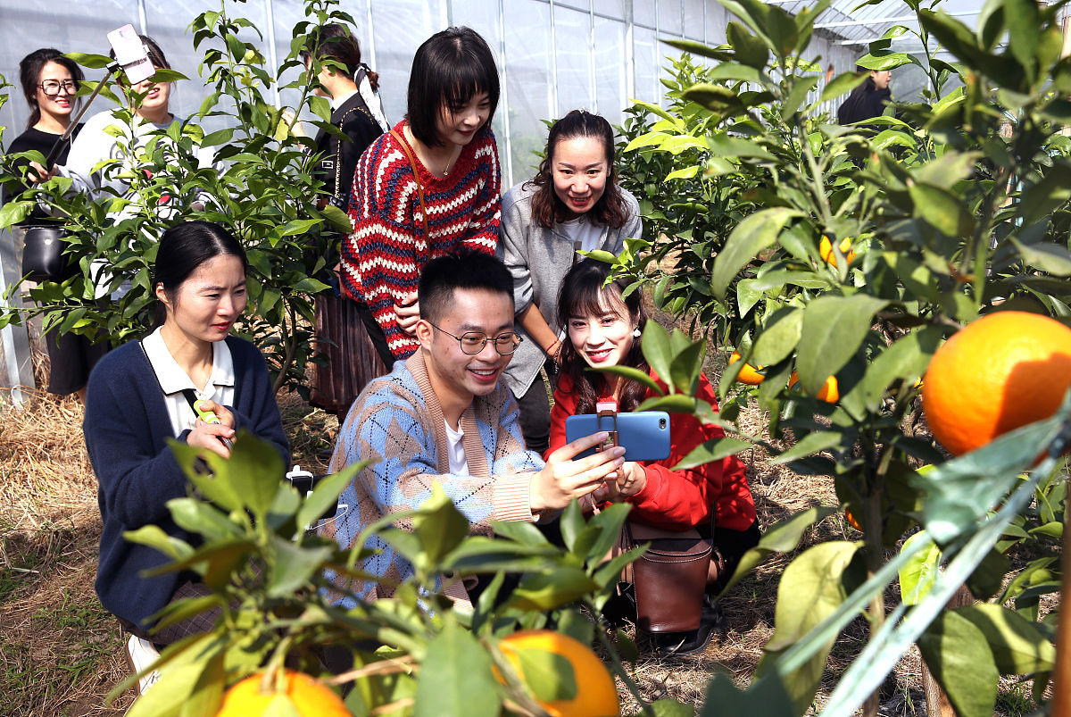 辽宁省农业技术学校2021年招生简章：本科、专科招生计划公布