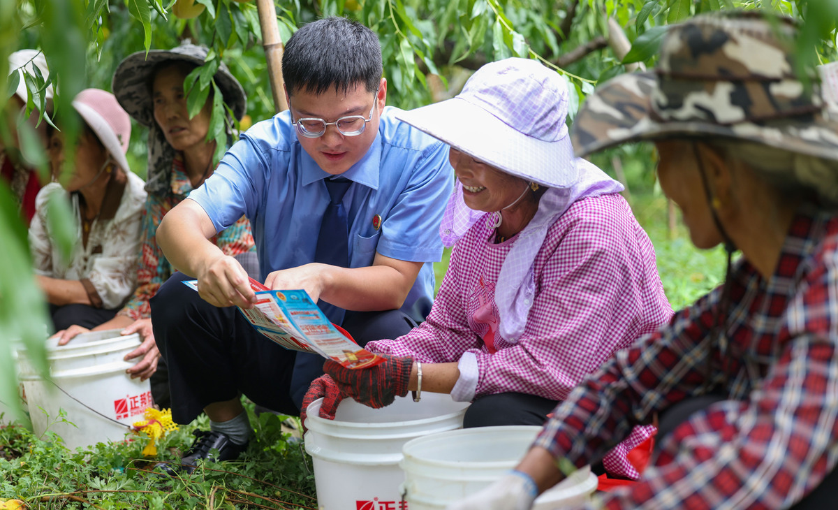 暑期三下乡社会实践活动在思想上我学到了