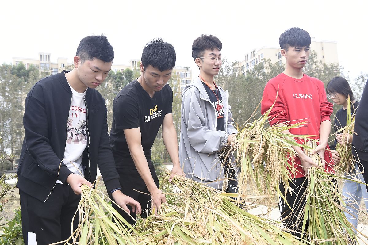 2019成都卫生职业学校招生情况怎么样