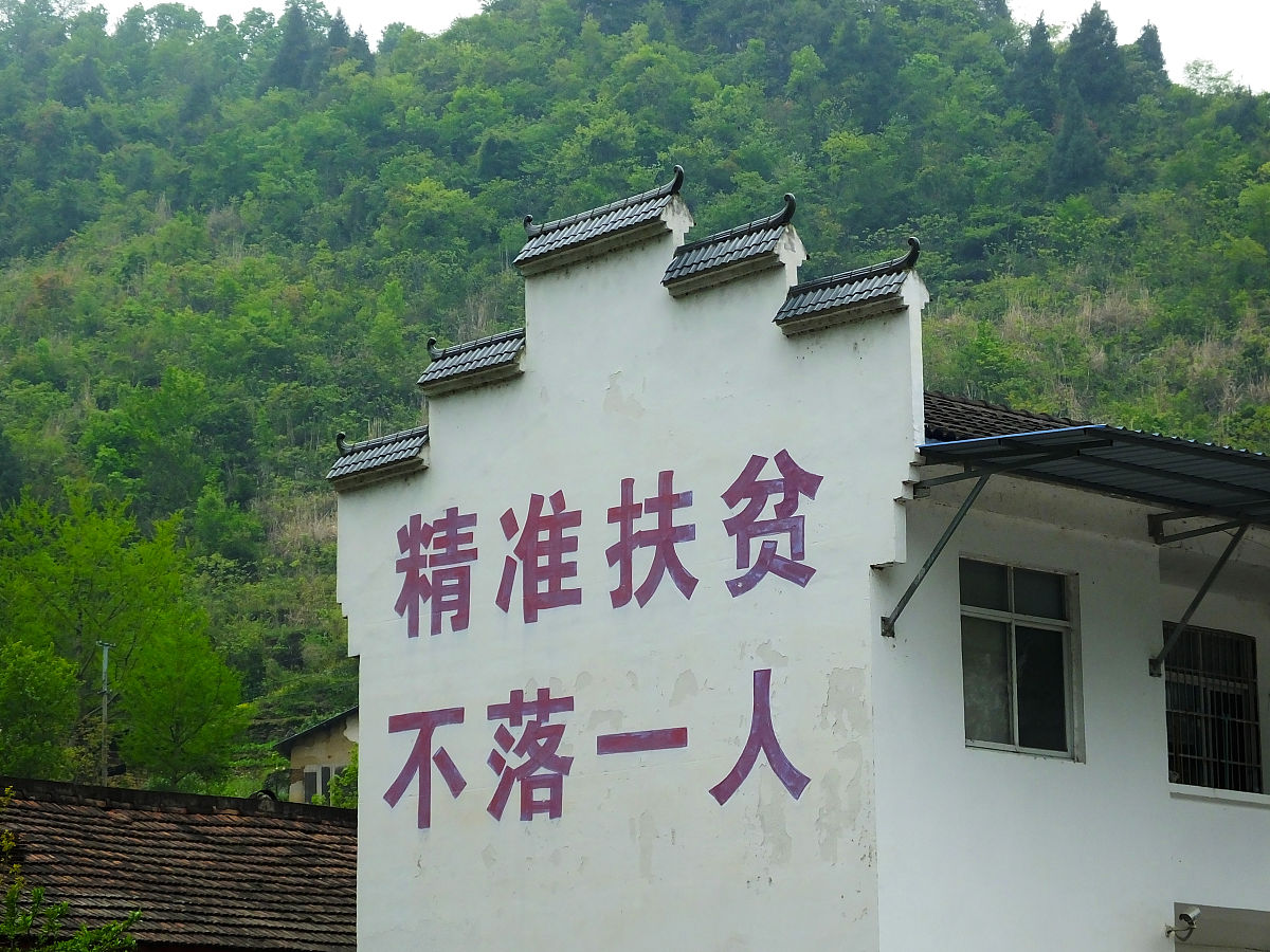 脱贫攻坚取得全面胜利全面建成小康社会取得决定性成就请以案例说明不少于2000字