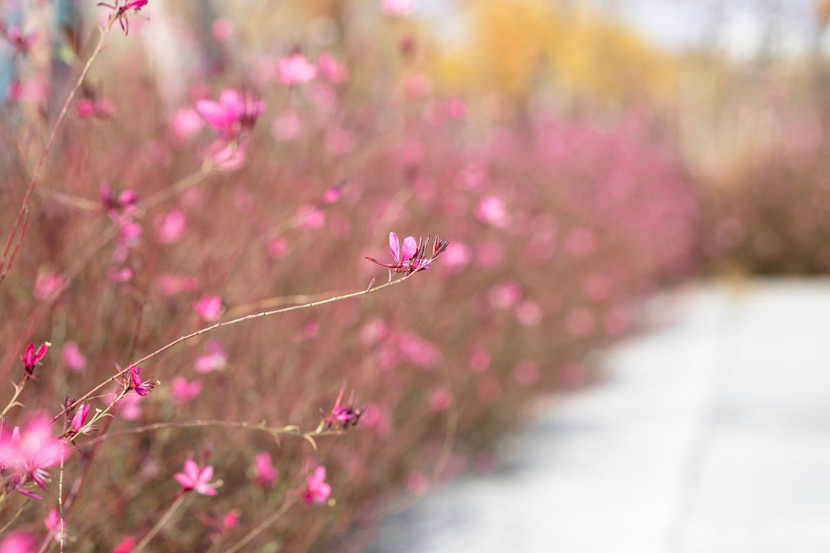请帮我取一个非常有意境的微信昵称
