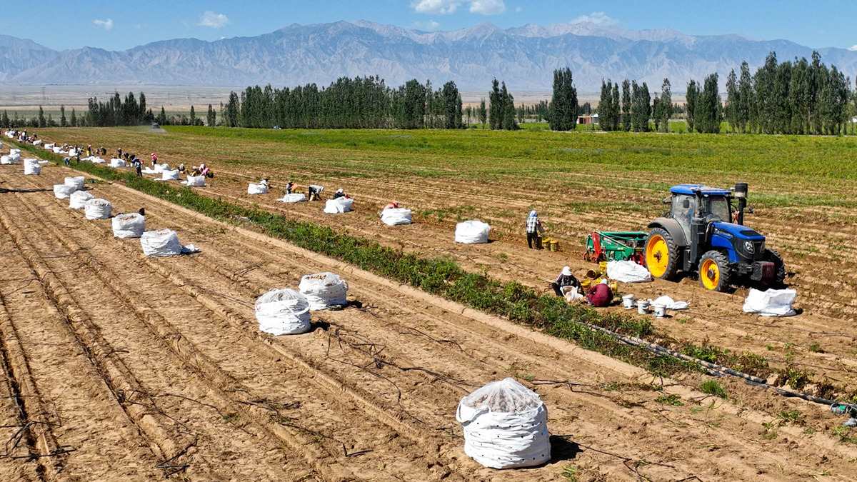 The Relationship Between Xinjiang Agricultural Product E-commerce and Farmers' Income: A Study