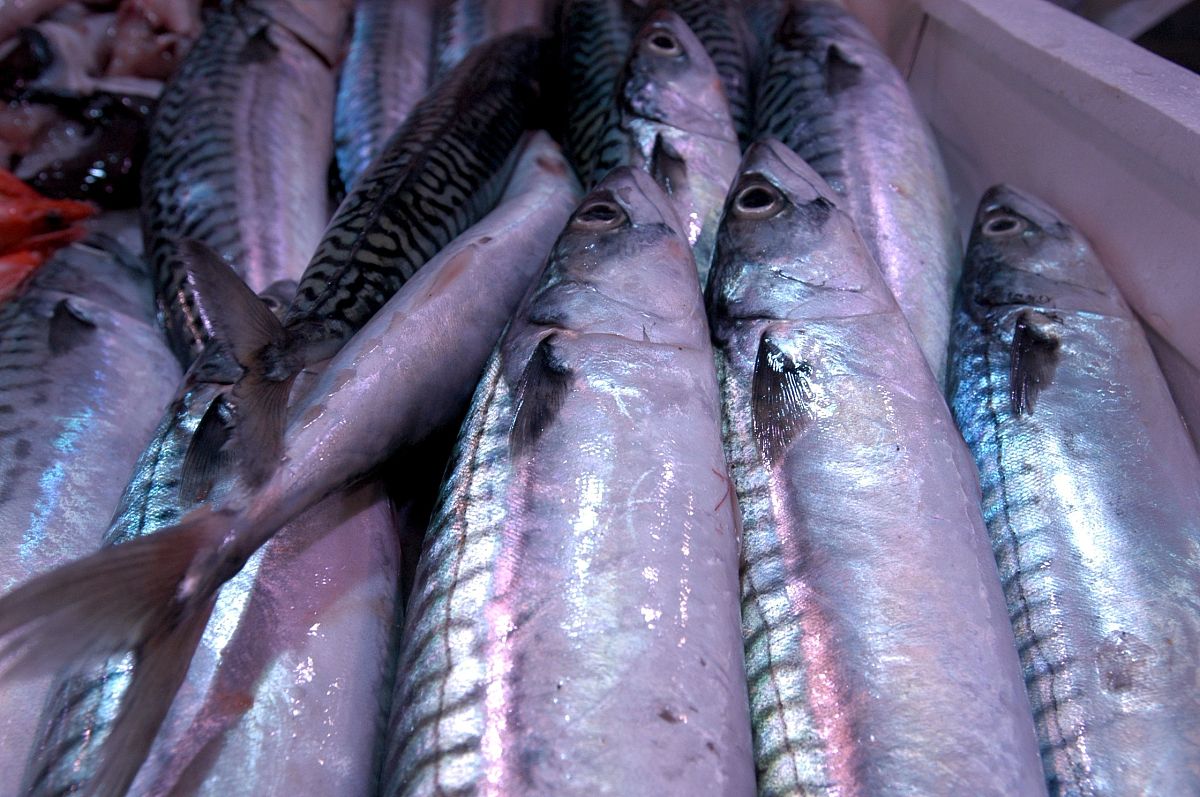 云南畜牧养殖学校五年制招生专业报名 | 培养畜牧业未来人才