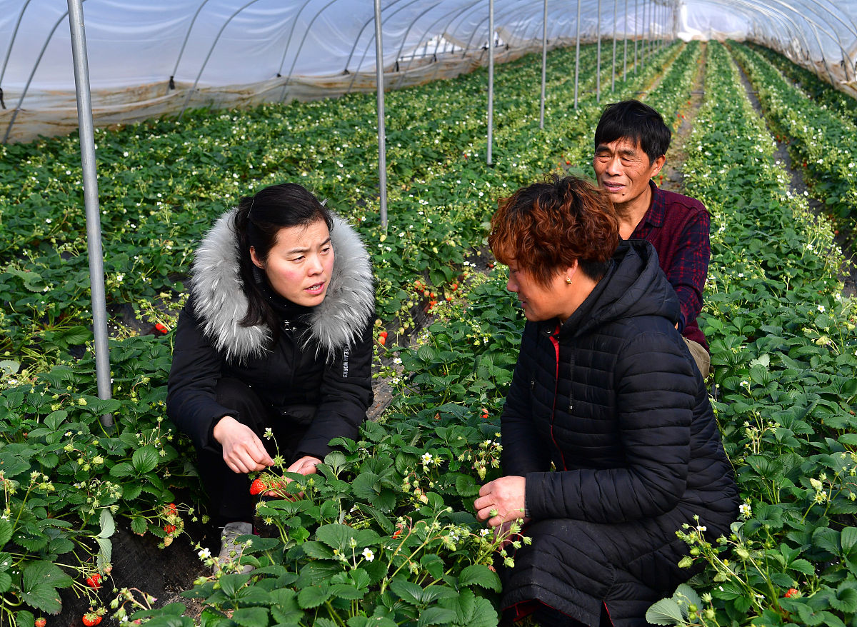 重庆农业学校园林技术招生 | 2020年报名火热进行中