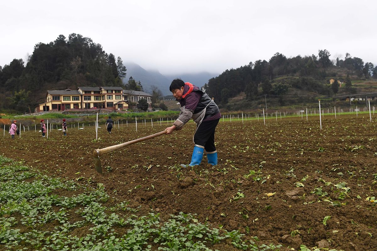 仁怀中等职业学校2019年招生简章 | 报名电话 | 专业介绍