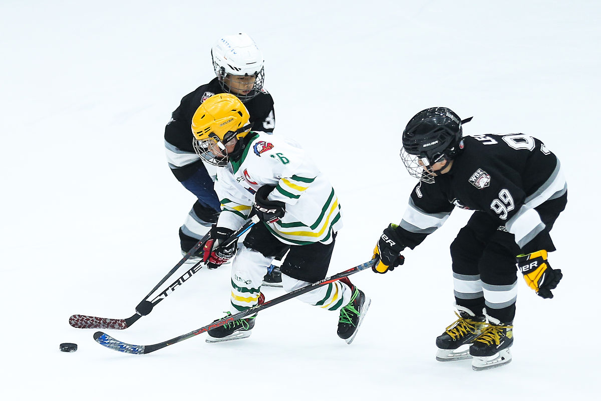 关于南通入川备案怎么办内容生动