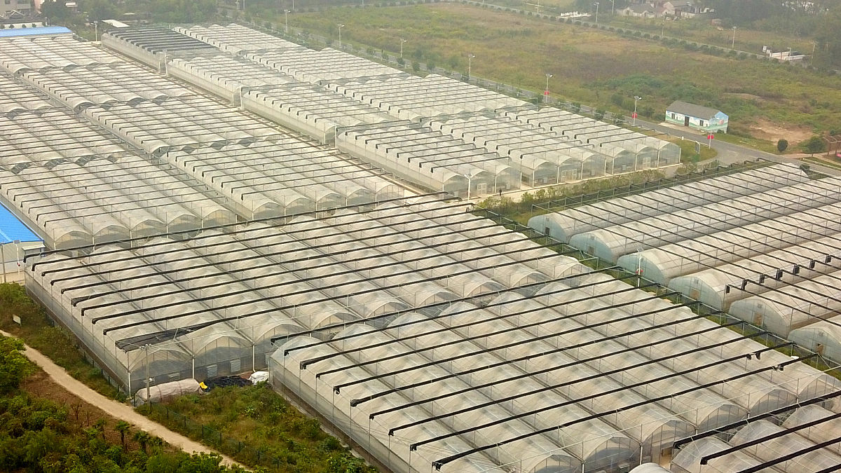 你好您好！有什么可以帮到您呢？写一篇报告关于：冬暖式农业大棚的可行性报告500字以内您的提问过于频繁了请歇一会吧写一篇报告关于：冬暖式农业大棚的可行性报告500字以内