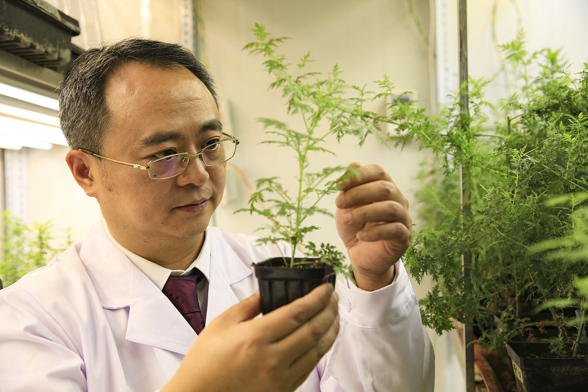 重庆电讯职业学院2019年招生简章