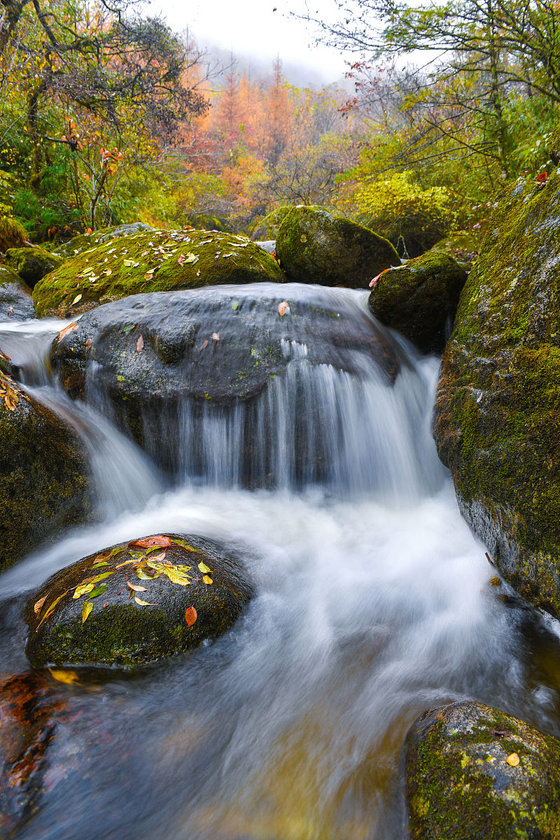 汉中有哪些中专学校好不好