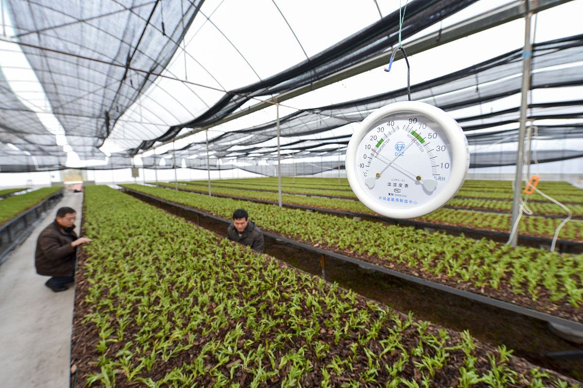 内江铁中2020年招生简章 - 报名时间、考试内容、联系方式