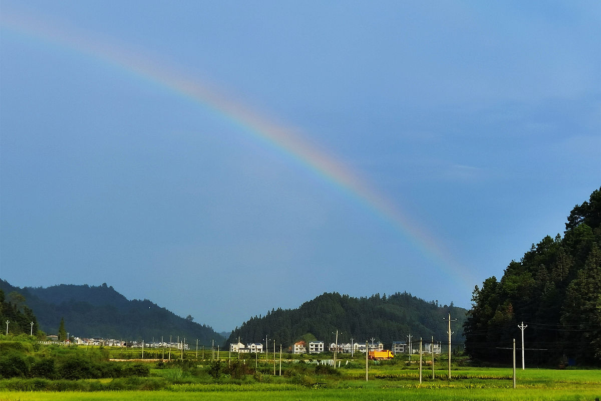 一年级课文《彩虹》仿写：雨后美景300字