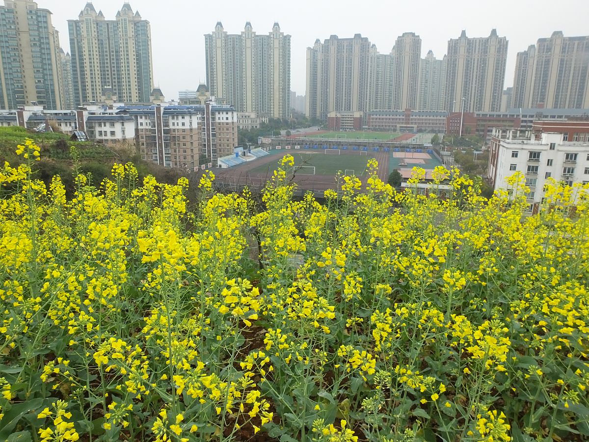 宜昌2022年女生读卫校好吗