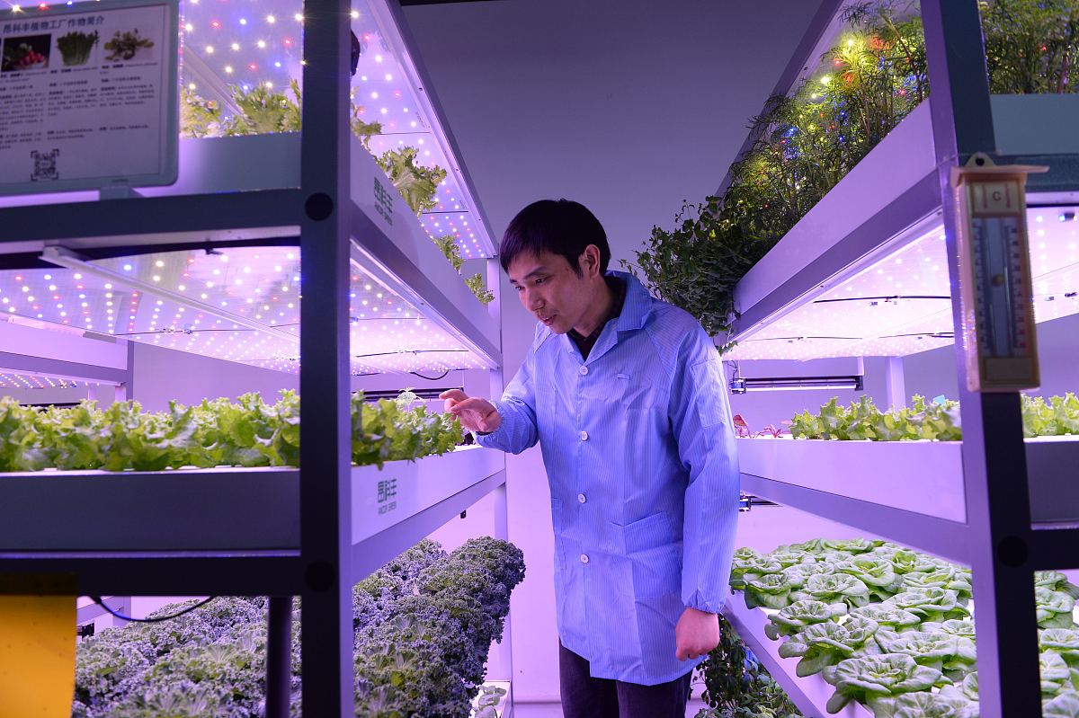 公司规模、资质、大客户Nextlite SolistekHTGHydroFarm、国家高新企业成立于2012年从事植物灯超过10年是中国植物灯制造行业的领头羊我们工厂面积超过2000平方员工超过200名。是第一家被评为国家高新企业的植物灯企业。植物灯领域我们是第一家获得UL证书的企业。我们的UL证书包括美国和加拿大在美国和加拿大通用5年质保在这5年内产品出现质量问题免费更换。我们的产品是模块化设计