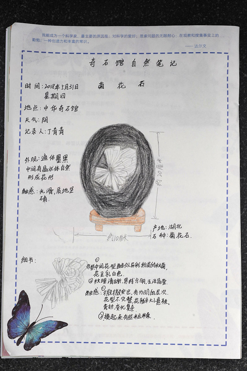 学生研学教育计划书：培养自主学习、创新能力和社会责任感