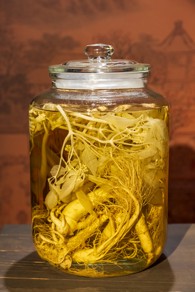 石斛泡酒的正确方法