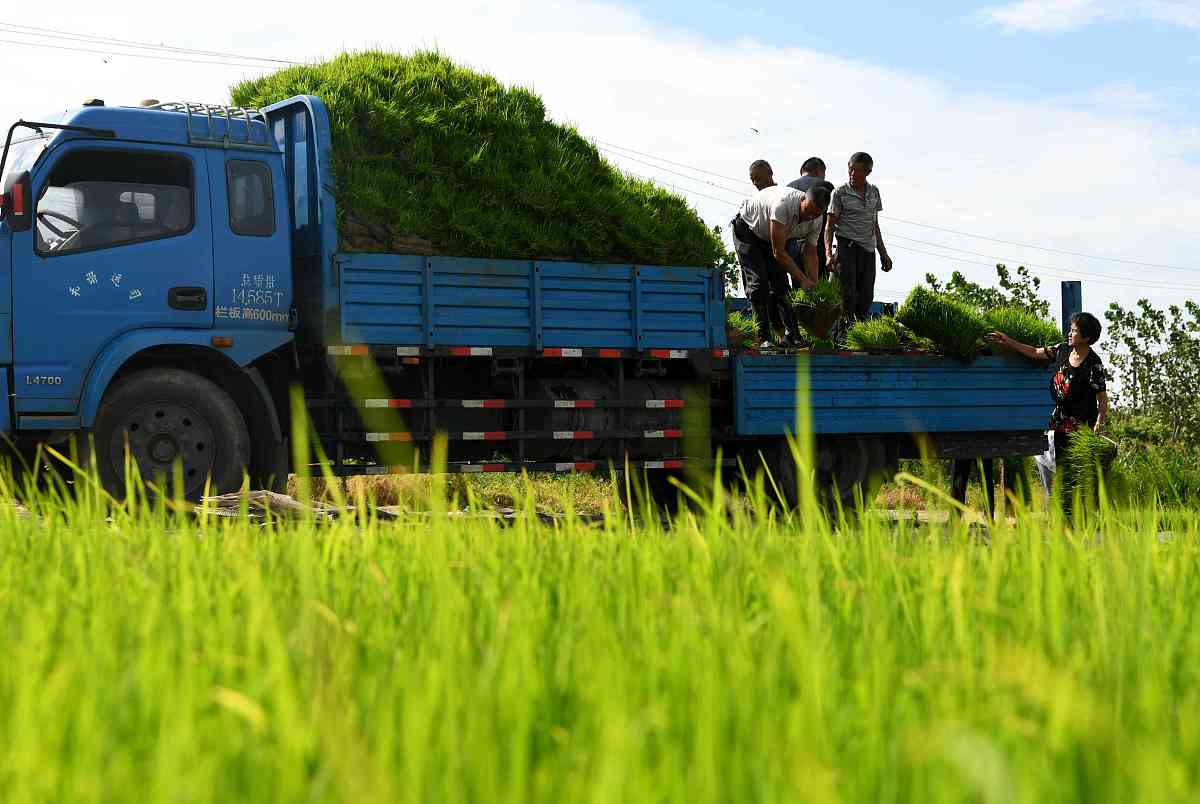 5万元创业好项目：电商、餐饮、美容等热门选择