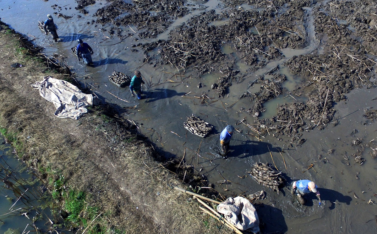 阿拉斯加输油管道事故案例分析：背景、影响及启示