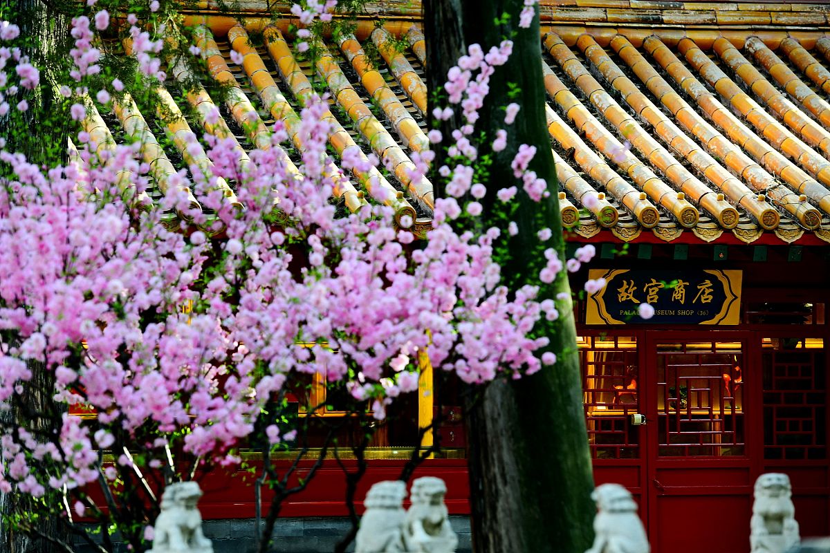 北京赏花好去处：颐和园、故宫、植物园等推荐