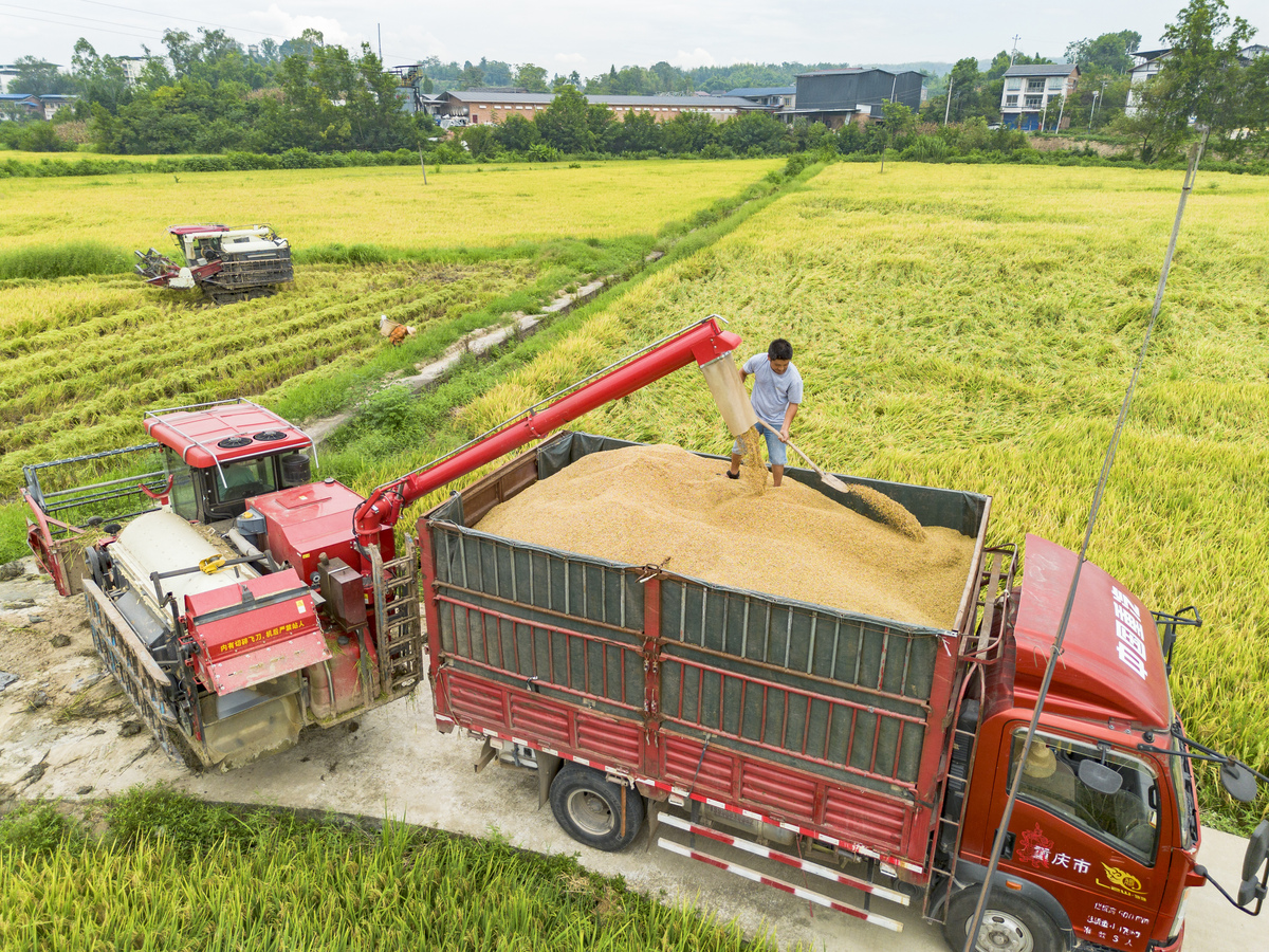 重庆农业学校农村经济综合管理方案：探索与实践