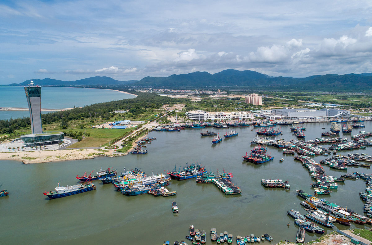 2020年8月16日,在海南三亚崖州中心渔港码头停泊的300多艘渔船,在领航