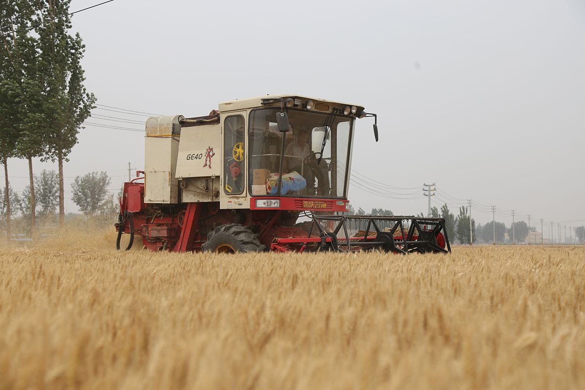 农业工程技术期刊：研究与应用的桥梁