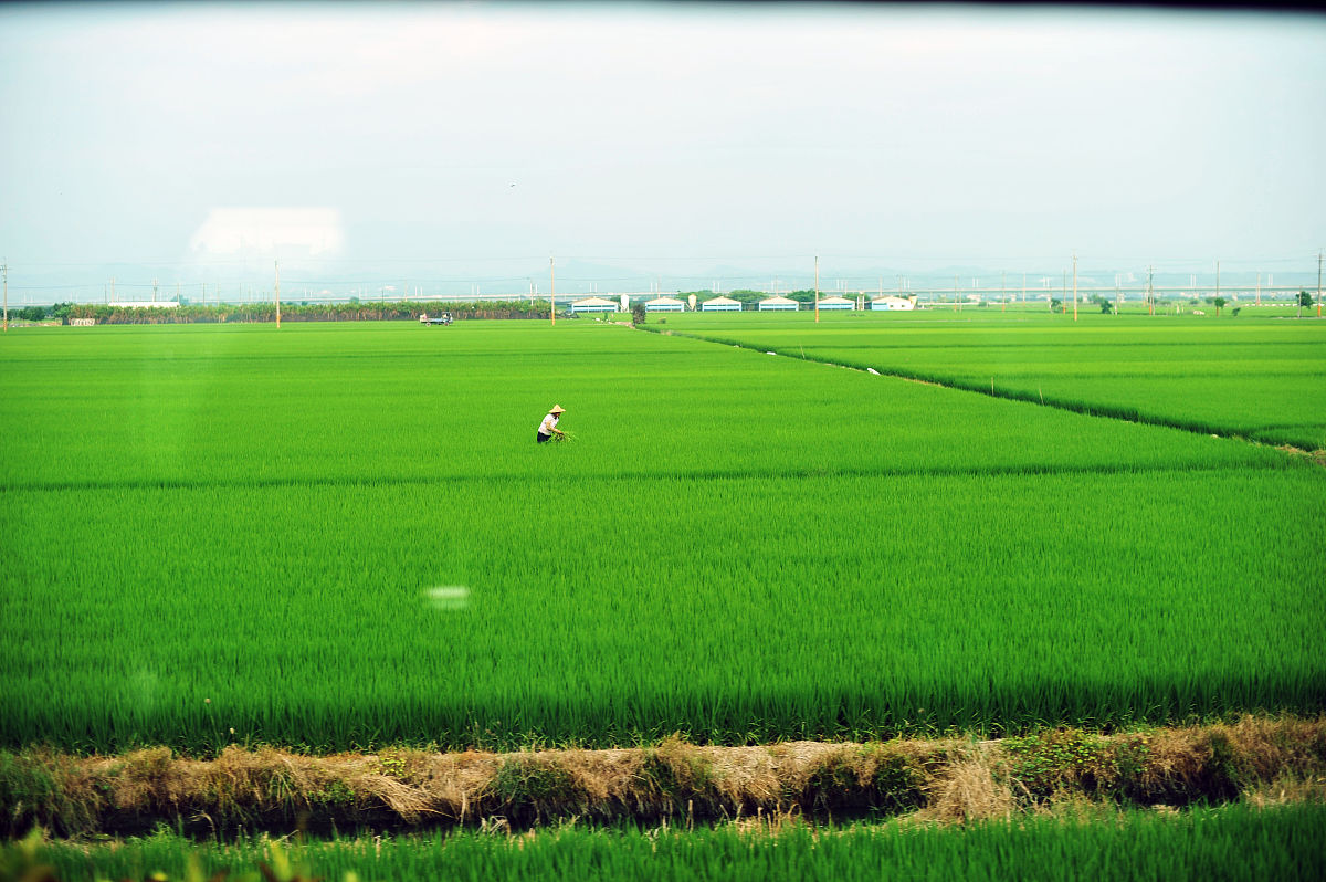 云南大学生物技术专业怎么样？学习和就业前景分析