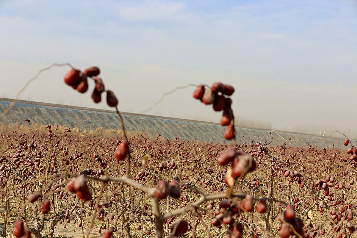 新疆铁路电务工程专业承包二级资质办理：新办及转让指南