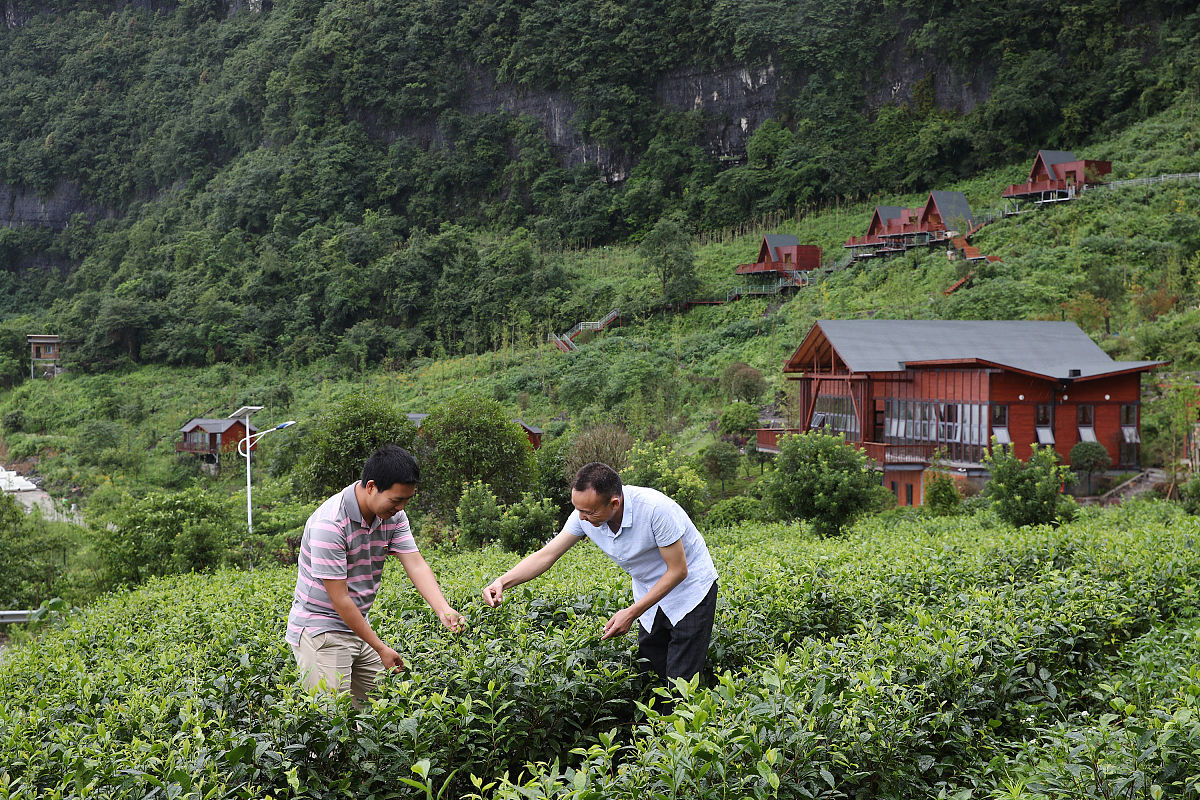 重庆农业学校就业率怎么样 师资力量如何
