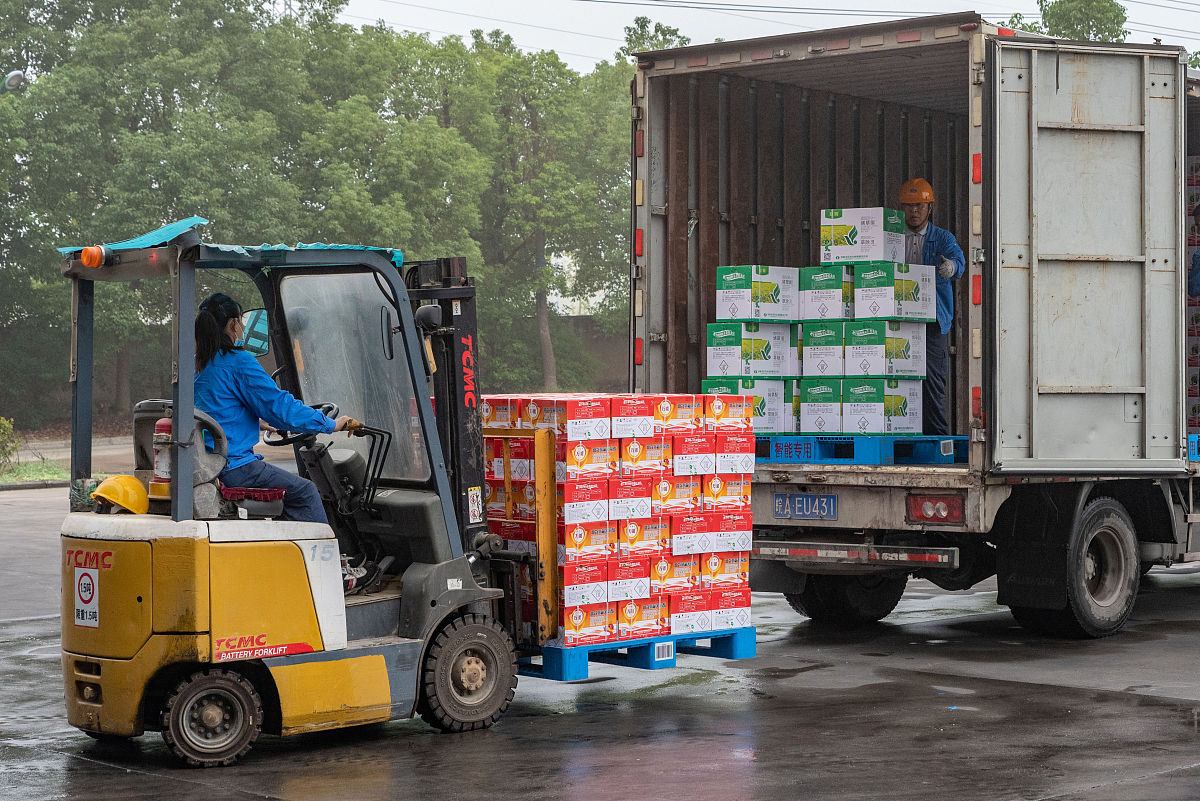 壮汉卸羊！比自己还重的羊，如何安全搬运？