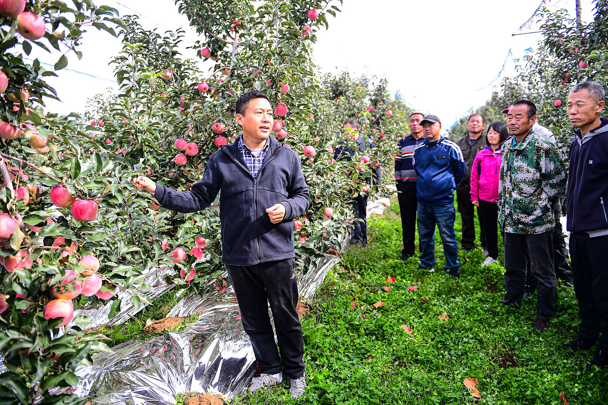 沈阳科技学院资产评估专业如何