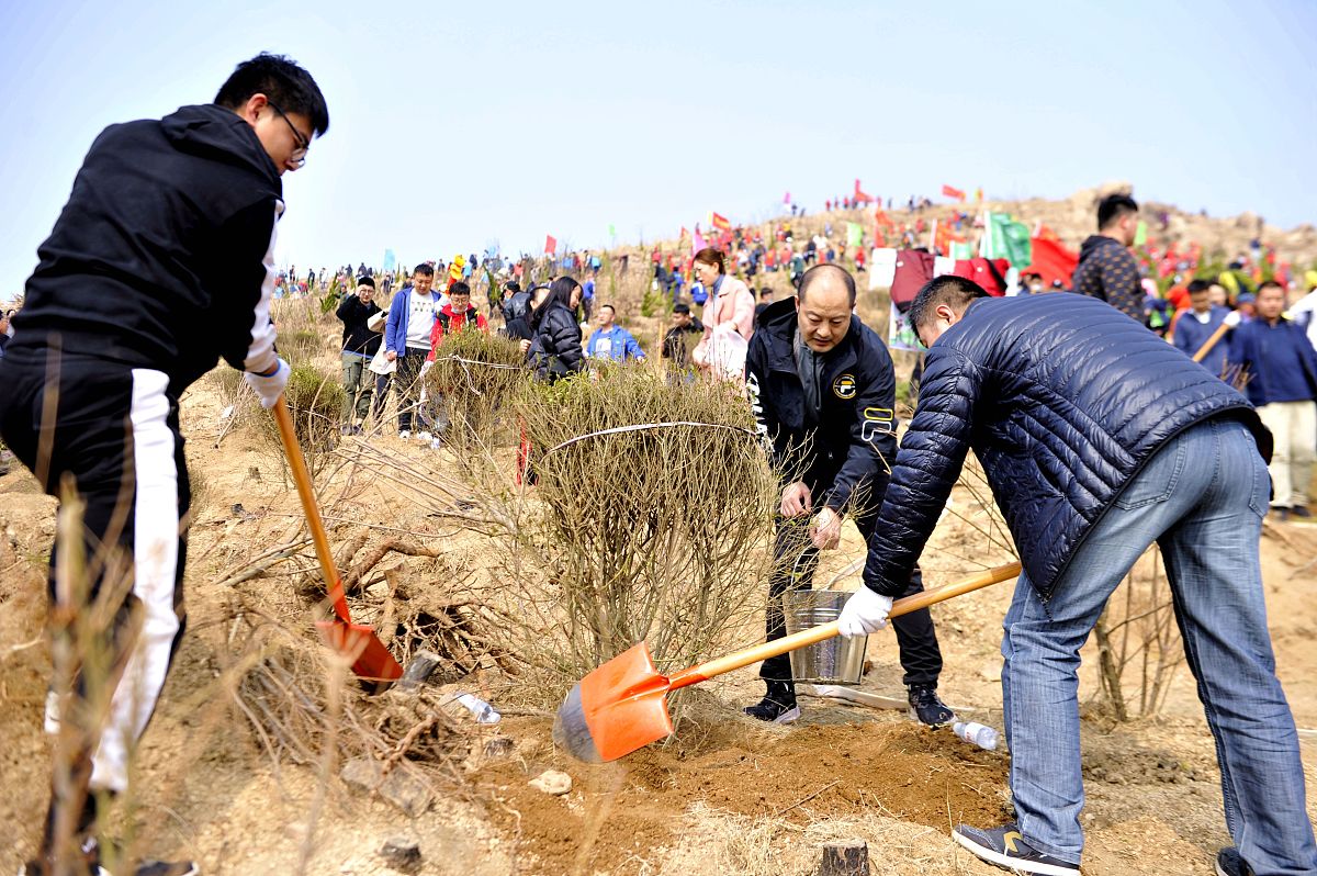2021年3月13日,山东青岛西海岸新区灵山卫街道开山口村,市民参加植树