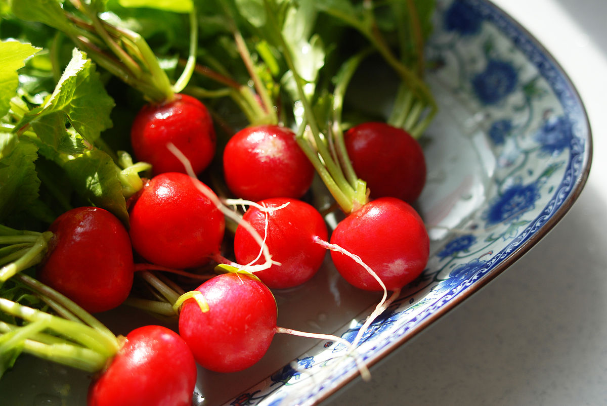 梦幻西游烹饪游戏攻略：从新手到大师的进阶指南