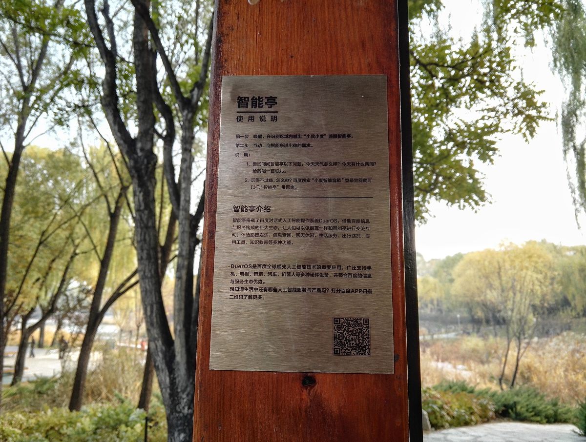 如何更好地与AI交流以获得更准确的答案